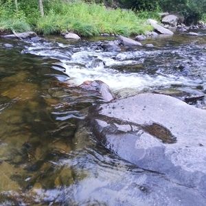 Serving Trays (Hold For KaylnRae)